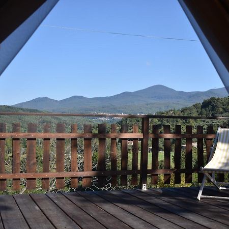 Podere Di Maggio - Glamping Tent 3 Santa Fiora Kültér fotó