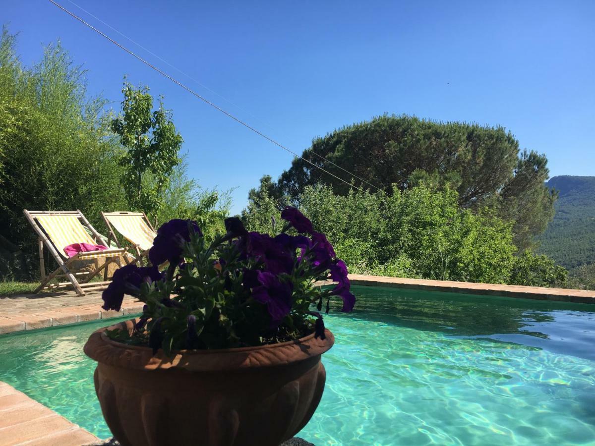 Podere Di Maggio - Glamping Tent 3 Santa Fiora Kültér fotó